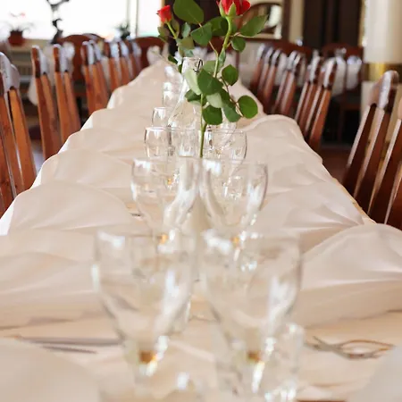 梅里霍维酒店 4*